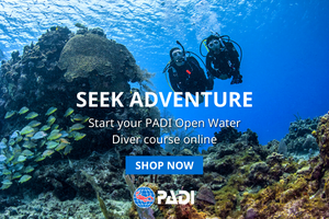 PADI Open water Course